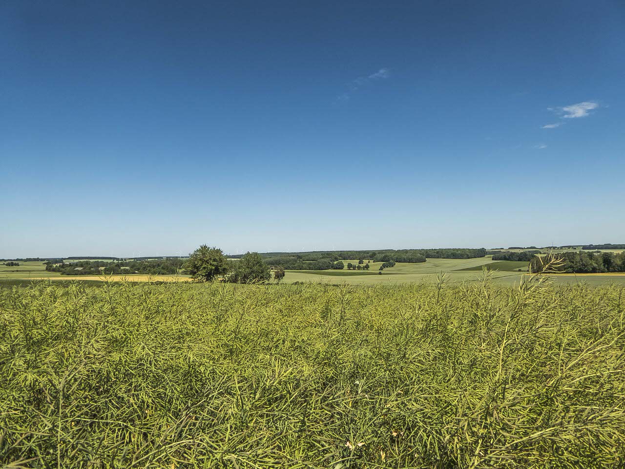P1100885