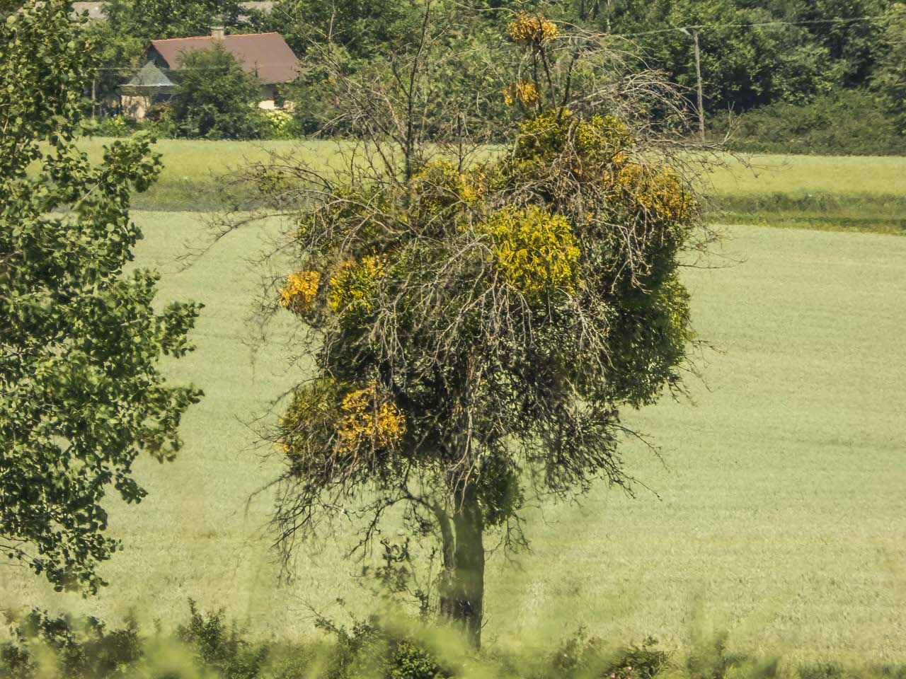P1100886