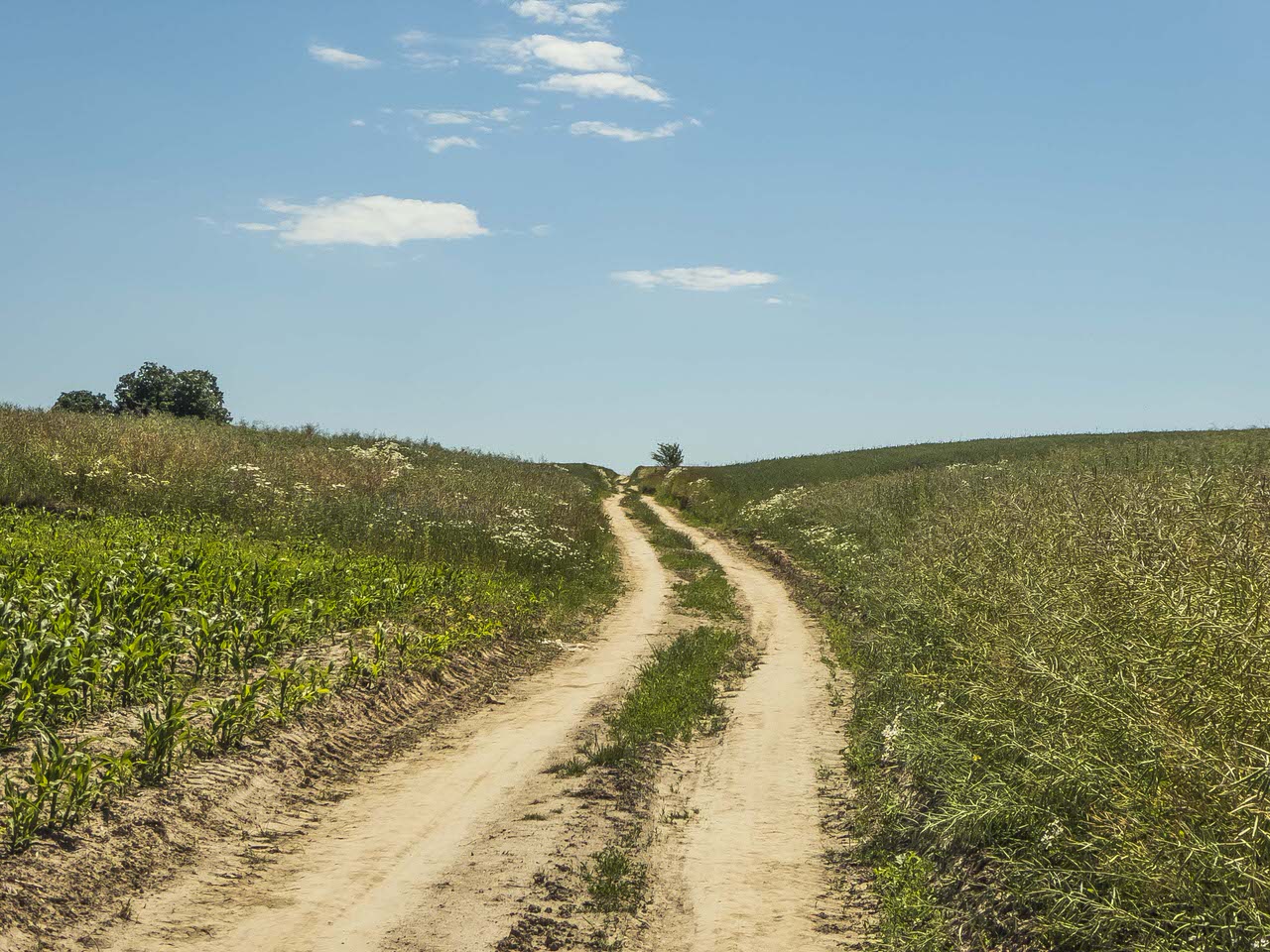 P1100889