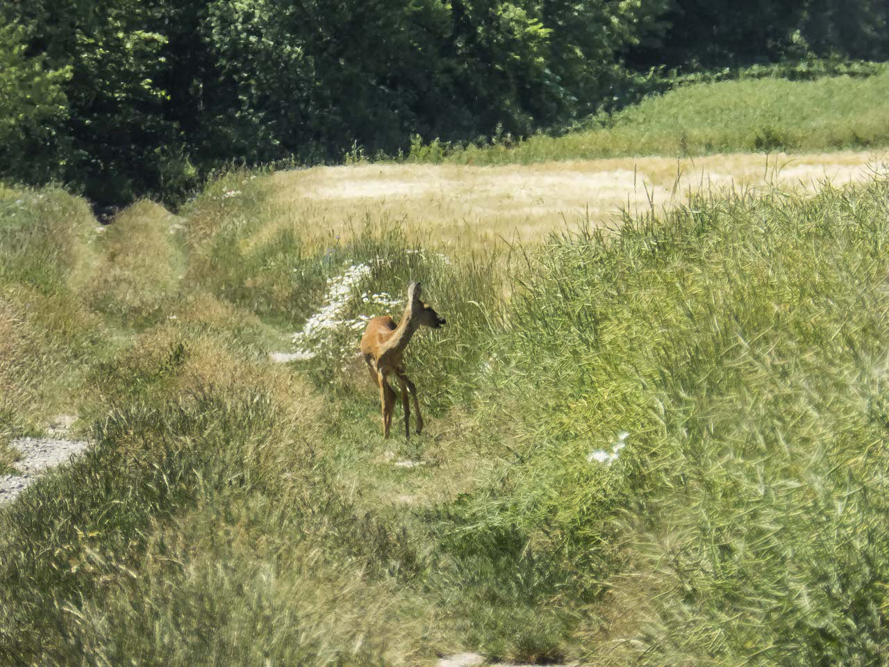 P1100894