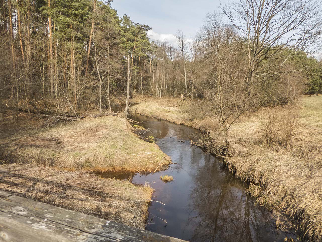 P1100354
