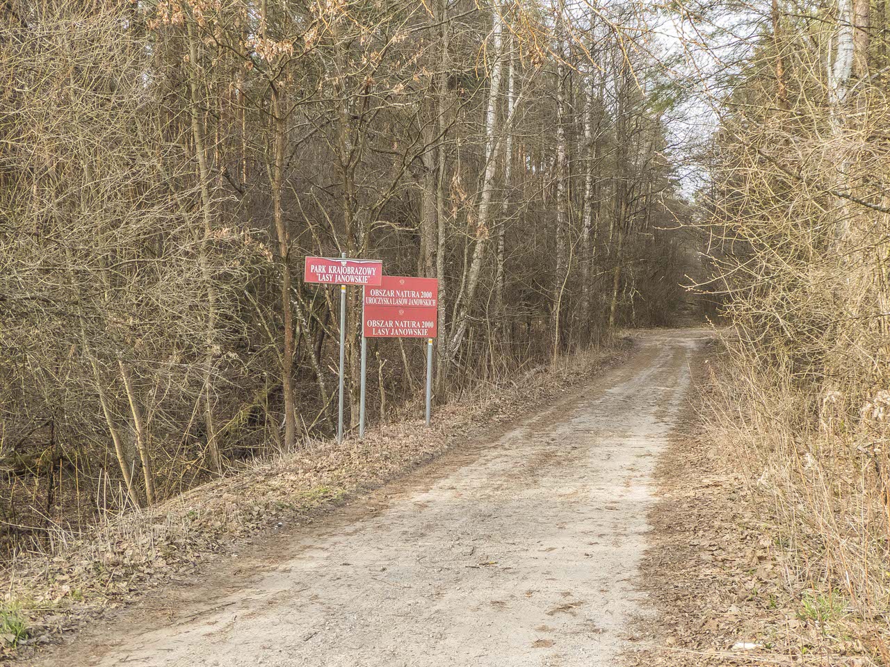 P1100355