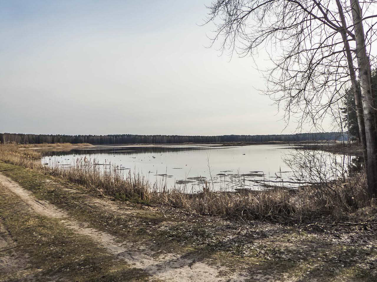 P1100359