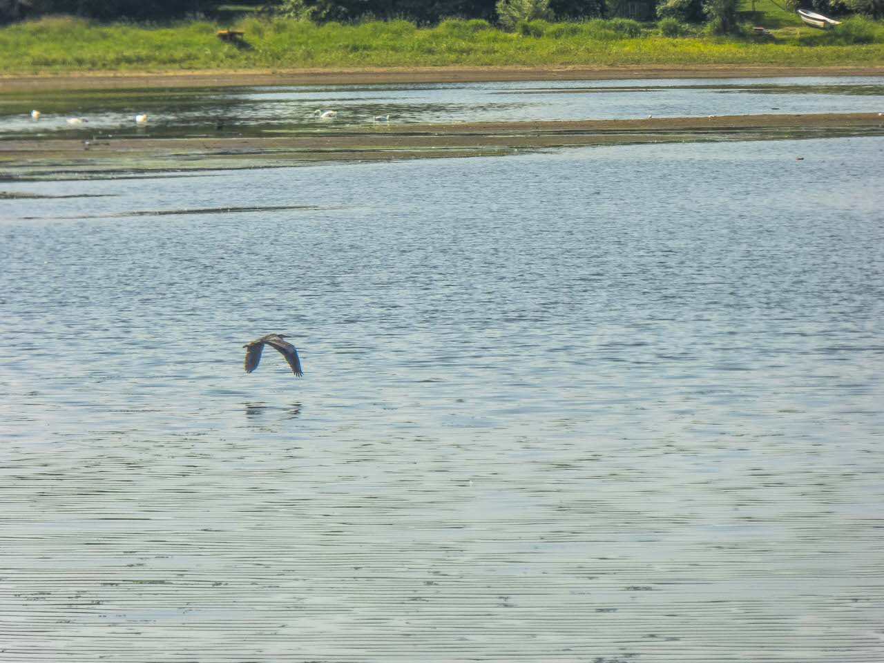 P1100378