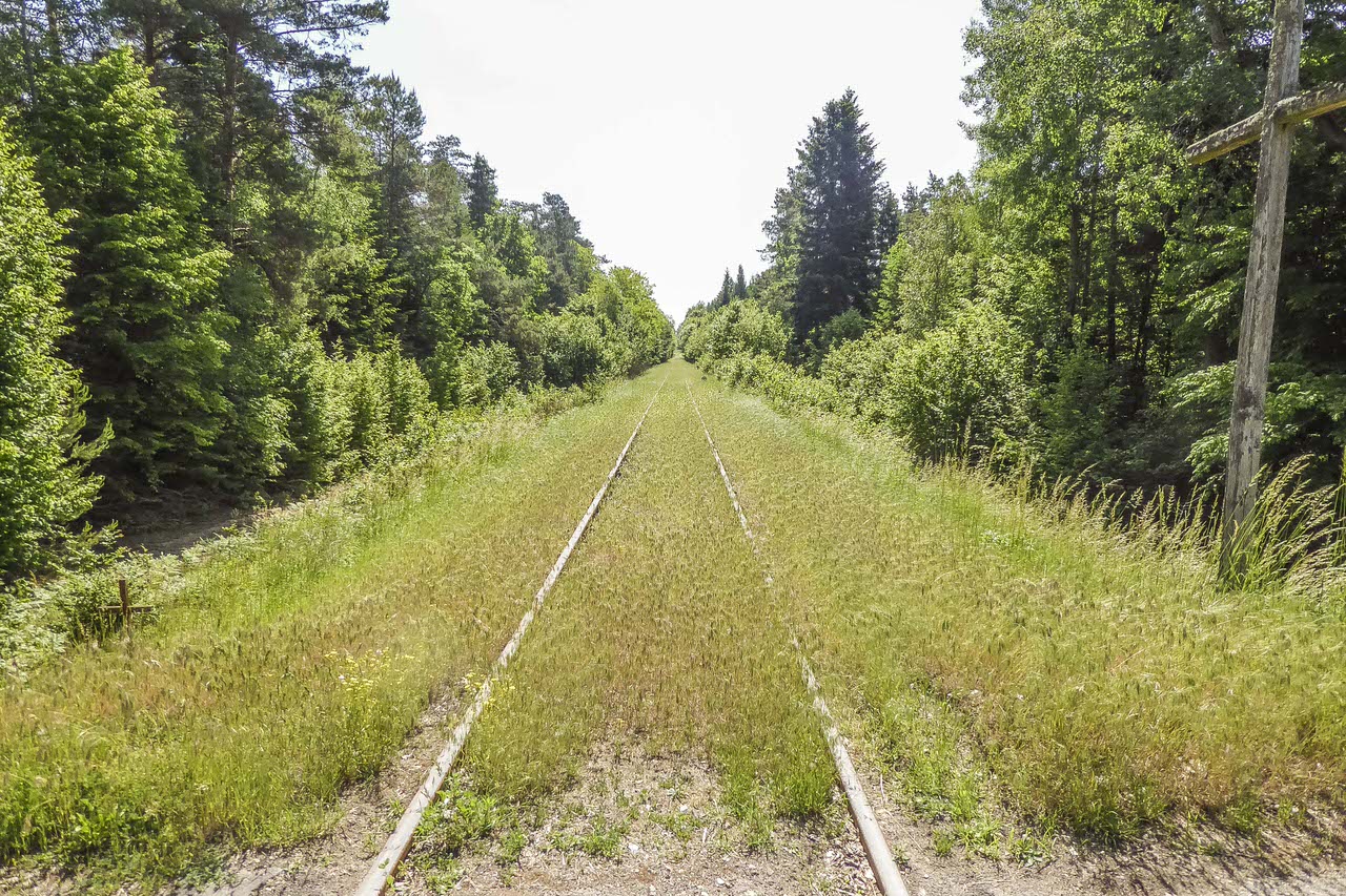 P1100388